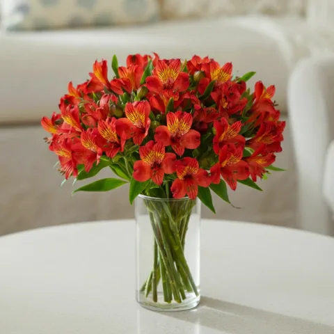 Bouquet Alstroemérias vermelhas