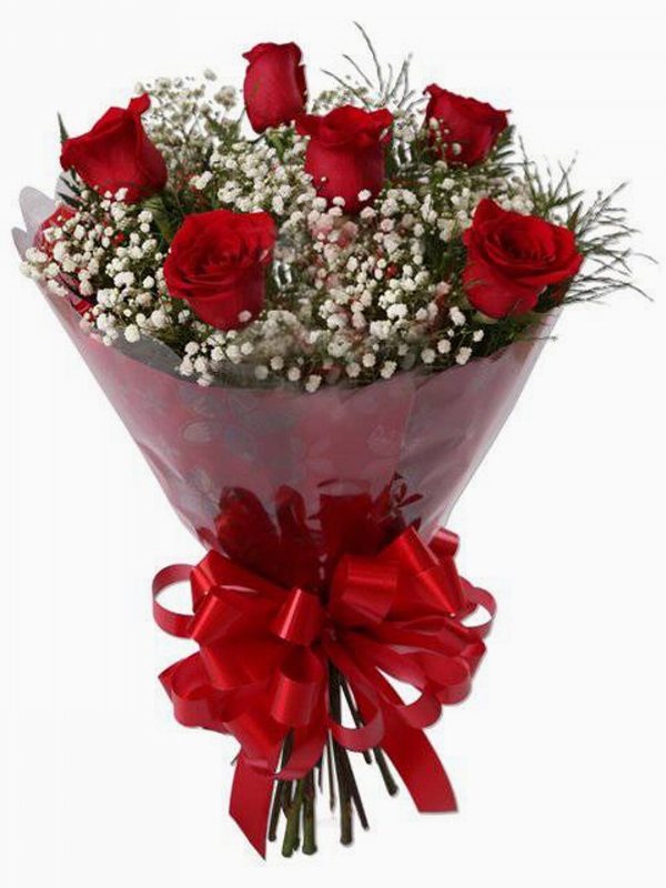 Bouquet 06 rosas vermelhas + Gipsofilas brancas