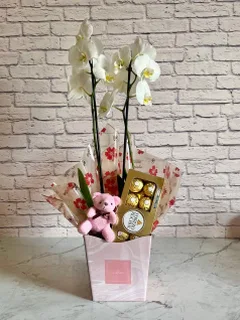 Presente Orquídea Branca + Chocolate + Pelúcia + Vaso