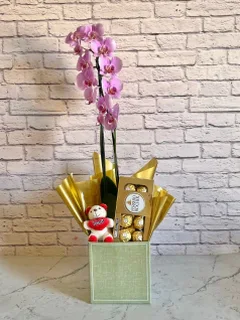 Presente Orquídea Rosa + Chocolate + Pelúcia + Vaso
